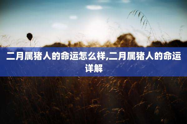 二月属猪人的命运怎么样,二月属猪人的命运详解