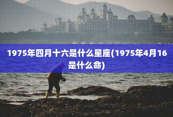 1975年四月十六是什么星座(1975年4月16是什么命)