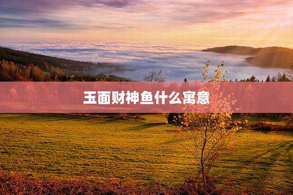 玉面财神鱼什么寓意