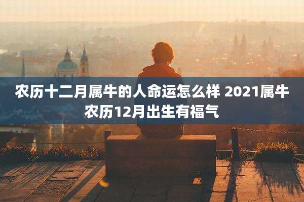 农历十二月属牛的人命运怎么样 2021属牛农历12月出生有福气