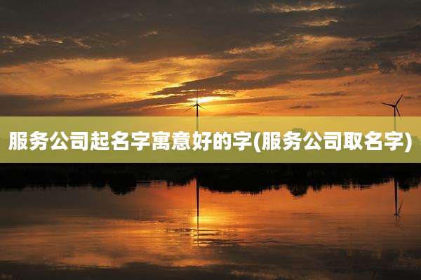 服务公司起名字寓意好的字(服务公司取名字)