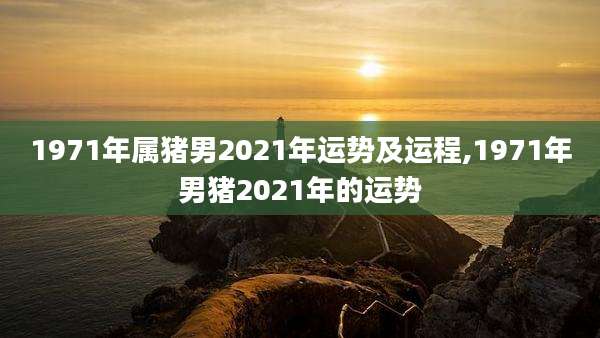 1971年属猪男2021年运势及运程,1971年男猪2021年的运势