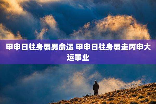 甲申日柱身弱男命运 甲申日柱身弱走丙申大运事业