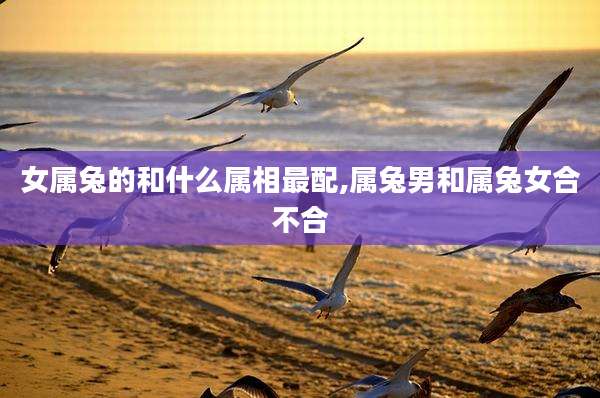 女属兔的和什么属相最配,属兔男和属兔女合不合