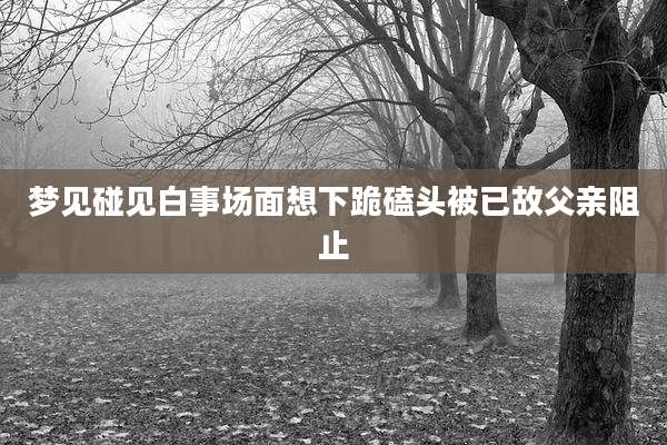 梦见碰见白事场面想下跪磕头被已故父亲阻止