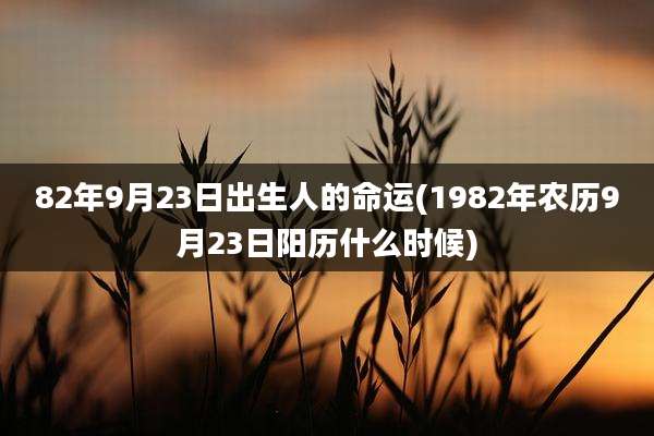 82年9月23日出生人的命运(1982年农历9月23日阳历什么时候)