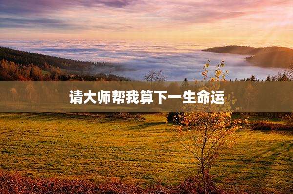 请大师帮我算下一生命运