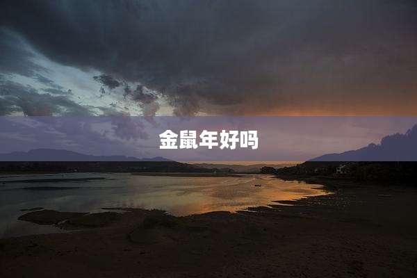 金鼠年好吗