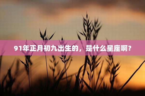 91年正月初九出生的,是什么星座啊?