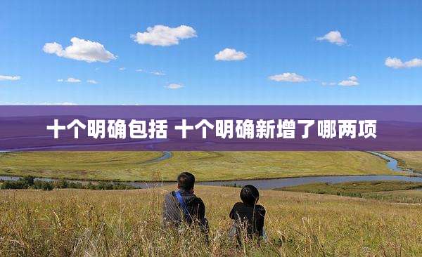 十个明确包括 十个明确新增了哪两项