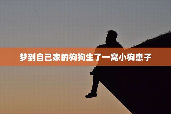 梦到自己家的狗狗生了一窝小狗崽子