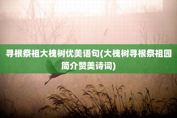 寻根祭祖大槐树优美语句(大槐树寻根祭祖园简介赞美诗词)
