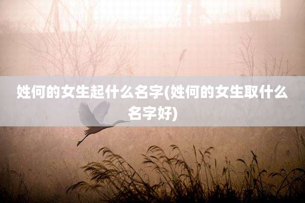姓何的女生起什么名字(姓何的女生取什么名字好)