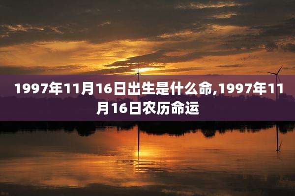 1997年11月16日出生是什么命,1997年11月16日农历命运