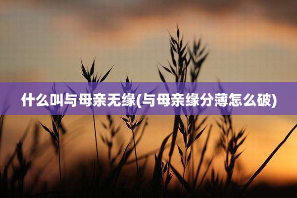 什么叫与母亲无缘(与母亲缘分薄怎么破)