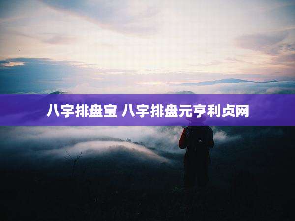 八字排盘宝 八字排盘元亨利贞网