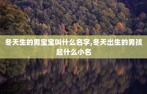 冬天生的男宝宝叫什么名字,冬天出生的男孩起什么小名