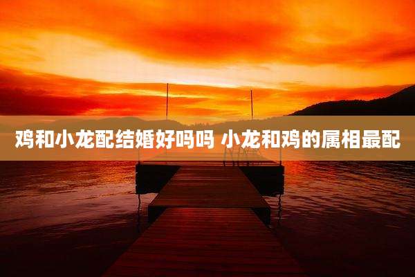 鸡和小龙配结婚好吗吗 小龙和鸡的属相最配