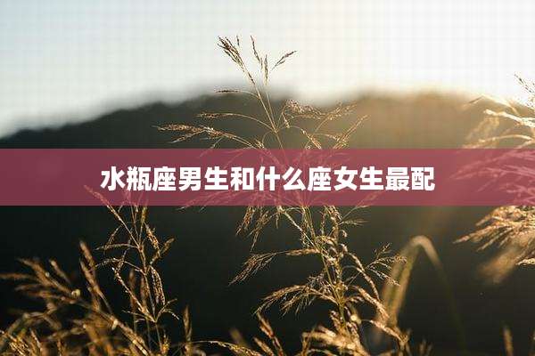 水瓶座男生和什么座女生最配
