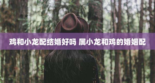 鸡和小龙配结婚好吗 属小龙和鸡的婚姻配