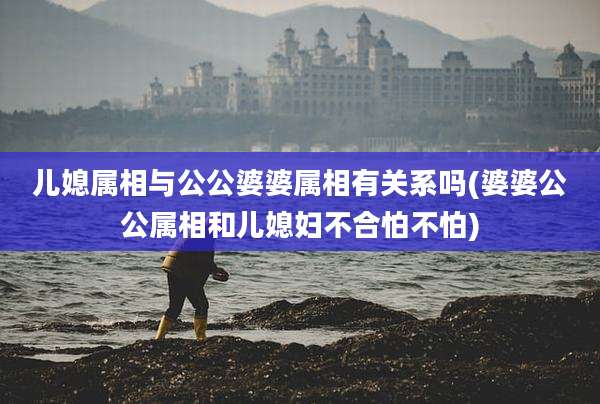 儿媳属相与公公婆婆属相有关系吗(婆婆公公属相和儿媳妇不合怕不怕)