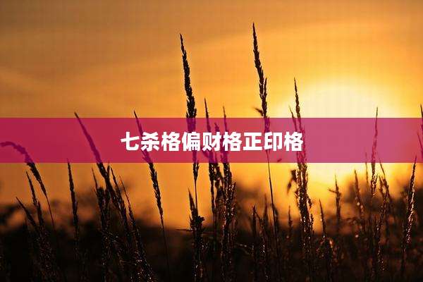 七杀格偏财格正印格