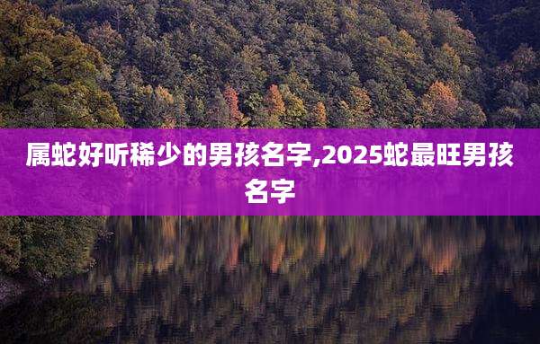 属蛇好听稀少的男孩名字,2025蛇最旺男孩名字
