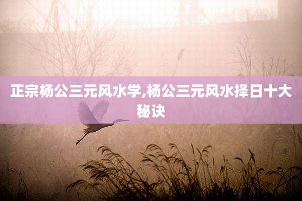 正宗杨公三元风水学,杨公三元风水择日十大秘诀