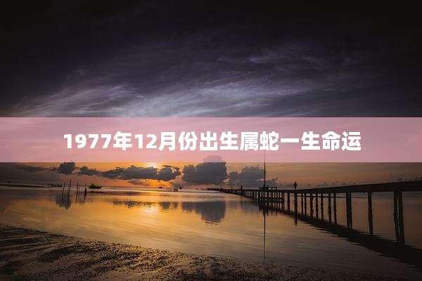 1977年12月份出生属蛇一生命运