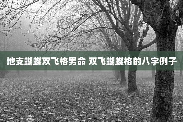 地支蝴蝶双飞格男命 双飞蝴蝶格的八字例子