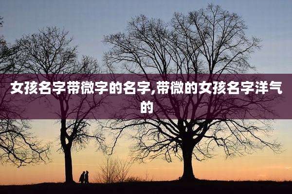 女孩名字带微字的名字,带微的女孩名字洋气的