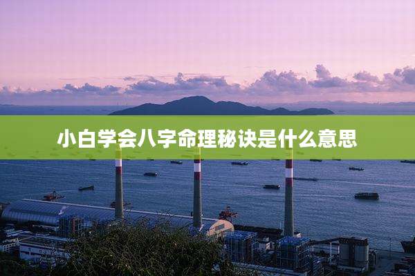 小白学会八字命理秘诀是什么意思