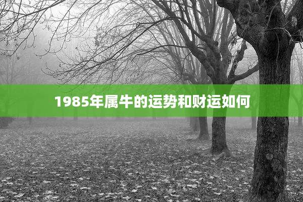 1985年属牛的运势和财运如何