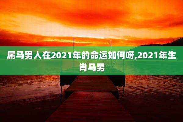属马男人在2021年的命运如何呀,2021年生肖马男
