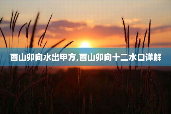 酉山卯向水出甲方,酉山卯向十二水口详解