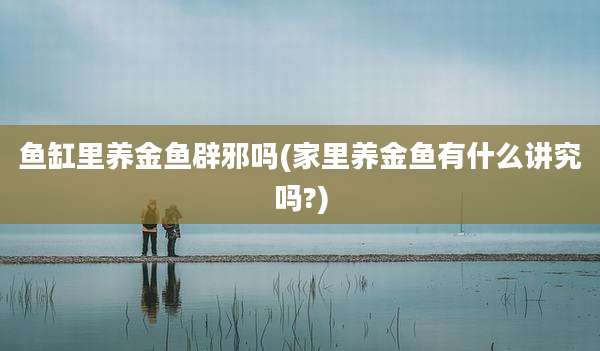 鱼缸里养金鱼辟邪吗(家里养金鱼有什么讲究吗?)