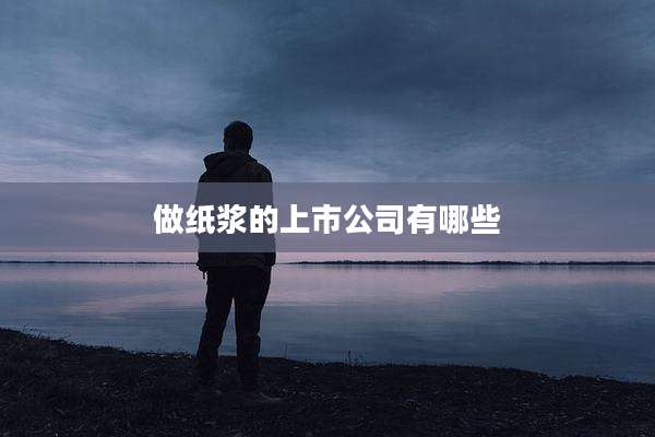 做纸浆的上市公司有哪些