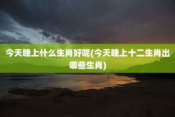 今天晚上什么生肖好呢(今天晚上十二生肖出哪些生肖)