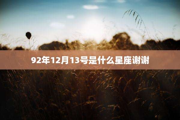 92年12月13号是什么星座谢谢