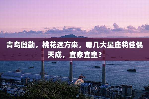 青鸟殷勤,桃花远方来,哪几大星座将佳偶天成,宜家宜室?