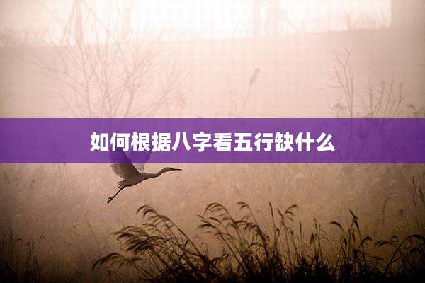 如何根据八字看五行缺什么