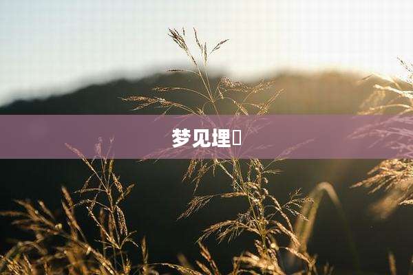 梦见埋坆