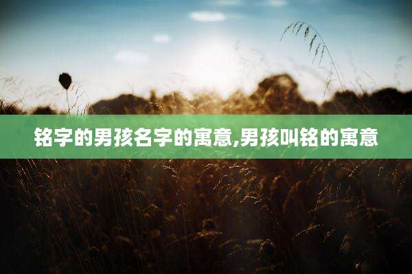 铭字的男孩名字的寓意,男孩叫铭的寓意