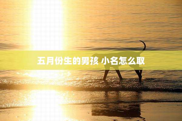 五月份生的男孩 小名怎么取