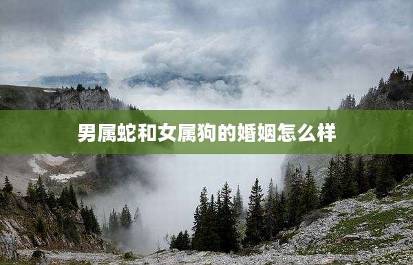 男属蛇和女属狗的婚姻怎么样