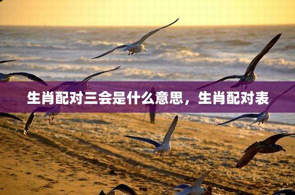 生肖配对三会是什么意思，生肖配对表
