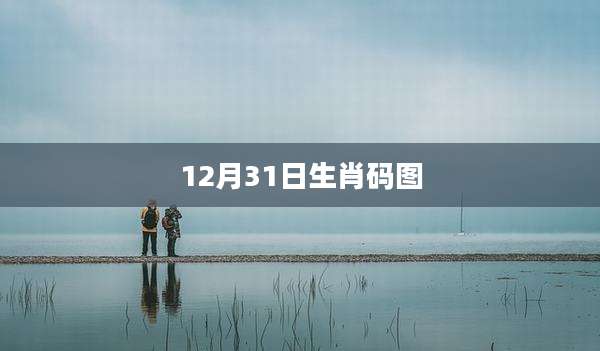 12月31日生肖码图