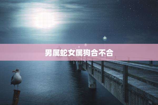 男属蛇女属狗合不合