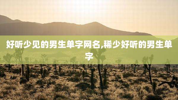 好听少见的男生单字网名,稀少好听的男生单字