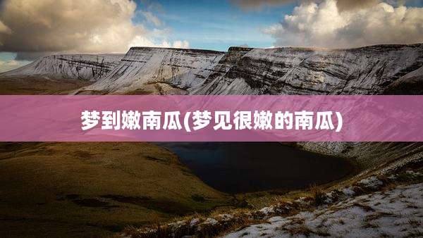 梦到嫩南瓜(梦见很嫩的南瓜)